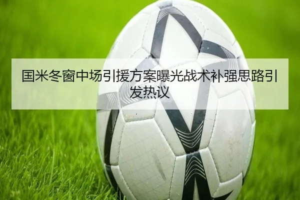 国米冬窗中场引援方案曝光战术补强思路引发热议（MangoSport）